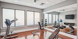 Cortland on South Eads Gallery 17