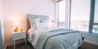 Eleanor Eleanor Gallery 16