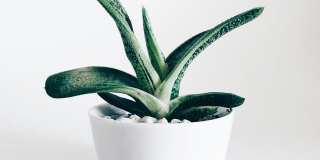 Fox Ridge Apartments Gallery 74