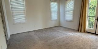 224 Overbrook Gallery 10