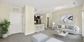 Delta Flats Gallery 22