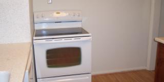 Ector 1822 Gallery 8