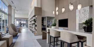 The Pacific Gallery 19