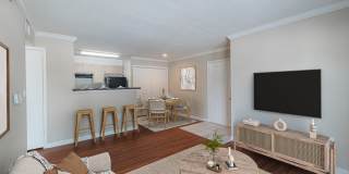 Medical Center Gallery 1