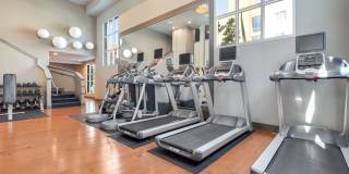 LINQ LINQ Gallery 11