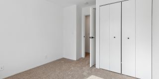 ReNew Woodland North and South Gallery 15