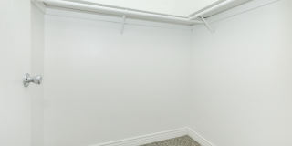 Rise Skyview Gallery 81