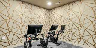 The Maxwell at Highland Creek Gallery 19