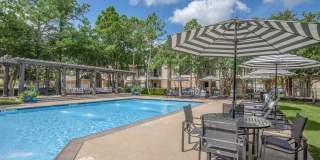 Westchase Forest Gallery 20