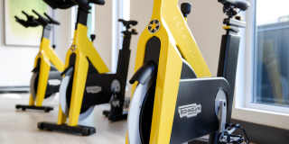 MacArthur Commons Gallery 11