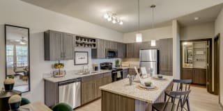 Springs at Eastmark Gallery 3