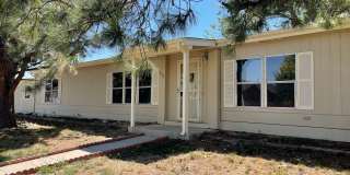 Spacious House with 3 Bedrooms and 2 Bathrooms - Great Corner Lot Gallery 1