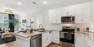 The Stafford Gallery 17