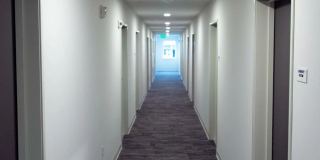 Koz on Market Gallery 13