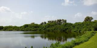 Verandahs of Brighton Bay Gallery 25