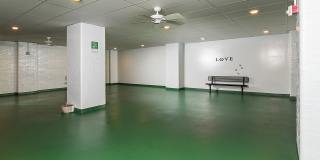 The Standard The Standard Gallery 44