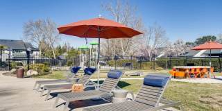 The Harlow Gallery 45