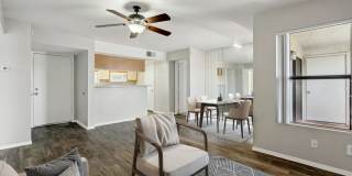 Twin Palms Gallery 41