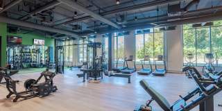 J Optimist Park Gallery 31