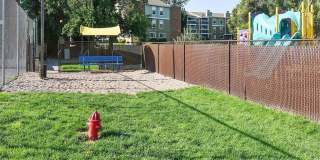 The Modern Gallery 63