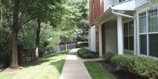 10808 WARFIELD Place Gallery 4