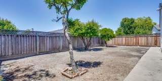 6063 Pineland Avenue Gallery 43