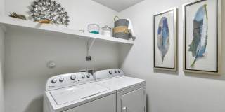 Axis 110 Gallery 9