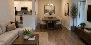 816 Stiller Lane Gallery 1