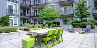 Elan Redmond Gallery 13