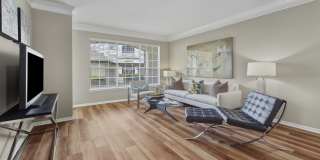 Village on the Parkway Apartments Gallery 11