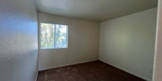 Large Corner Lot Gallery 14