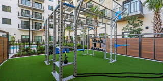 Luna at Viera Gallery 5