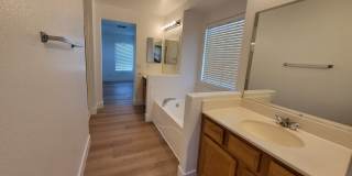 6142 Novelty St. Gallery 17