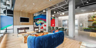 Collection 14 Gallery 21