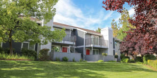 Lake Pointe Apartments Gallery 30