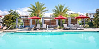 The Strand Gallery 17