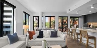 Aster & Links Gallery 75