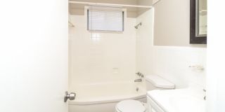 5545 Pine Lane Drive Gallery 10