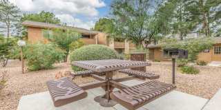 Arcadia Park Gallery 5