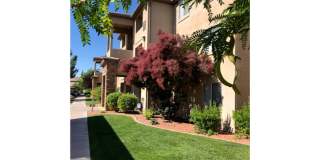 The Falls at Mesa Point Gallery 43