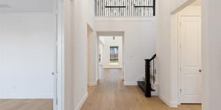 2380 Rainforest Drive Gallery 3