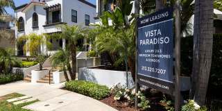 Vista Paradiso Gallery 2