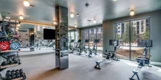 Aura Avant Gallery 13