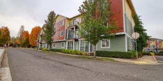 Seasons on the Park Gallery 27