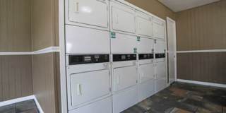 Vista Montana Gallery 26