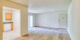 The Everett Gallery 22