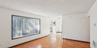 Colony Park Gallery 14