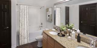 AMLI 300 Gallery 11