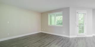 Avana Evergreen Gallery 18