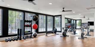 Livano at Town Madison Gallery 12